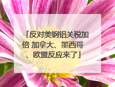 反对美钢铝关税加倍 加拿大、墨西哥、欧盟反应来了